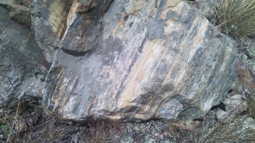 Гигантские зелёные валуны для ландшафтного дизайна весом более 5 тонн купить в Владикавказе