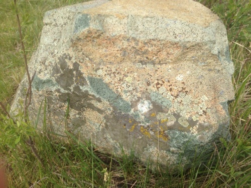 Гигантские зелёные валуны для ландшафтного дизайна весом более 5 тонн купить в Владикавказе